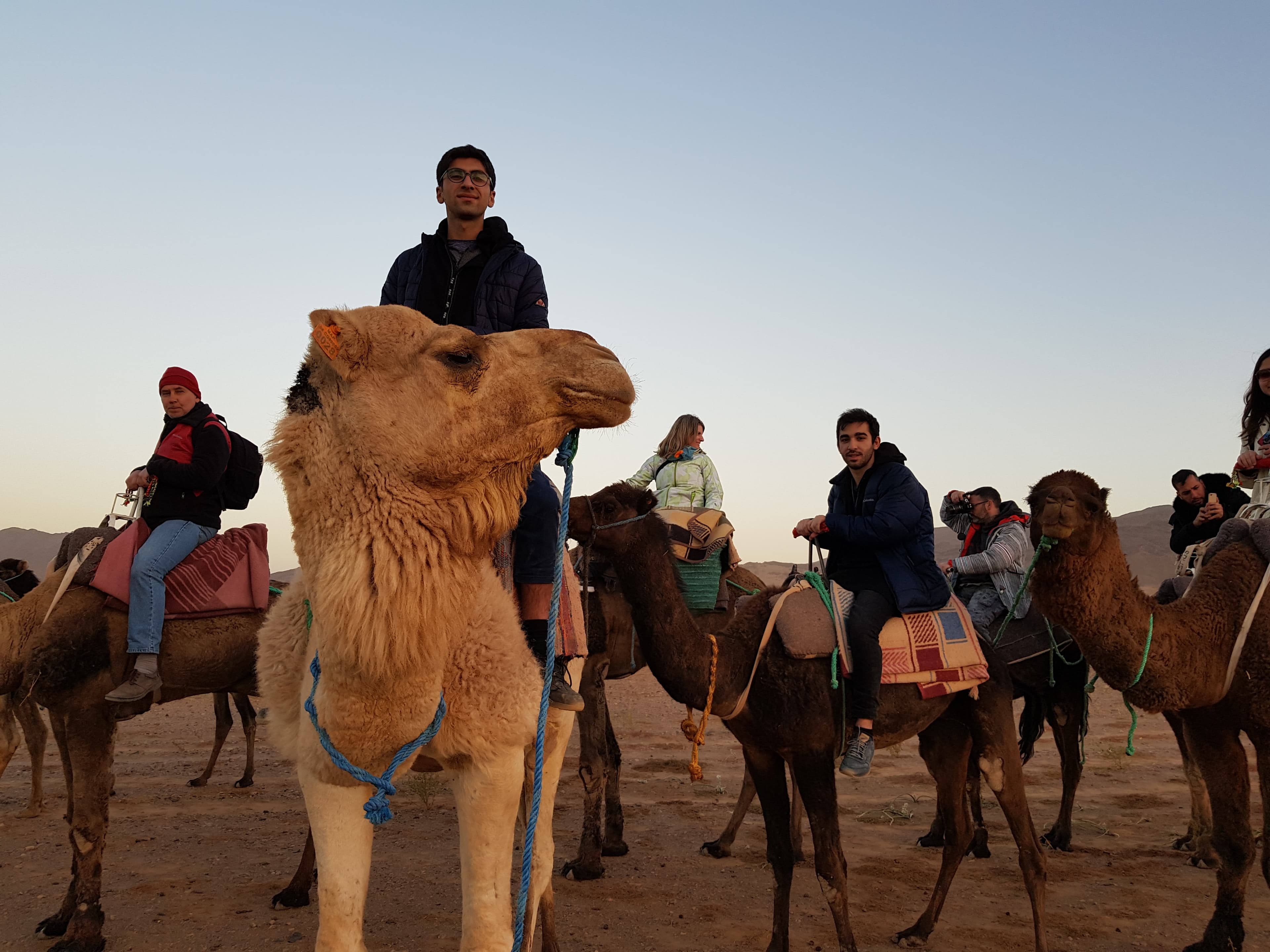 🐪